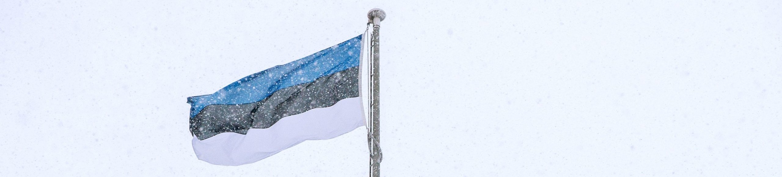 Tutto sul campionato di calcio dell'Estonia: come funziona la Meistriliiga