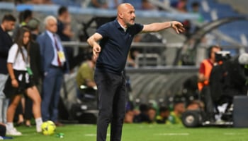 allenatore della viola