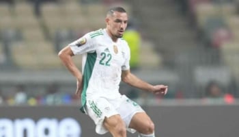 quote algeria angola