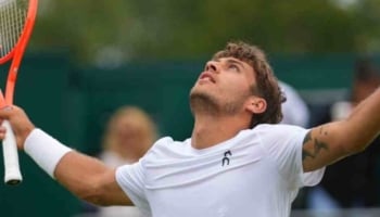 quote cilic cobolli